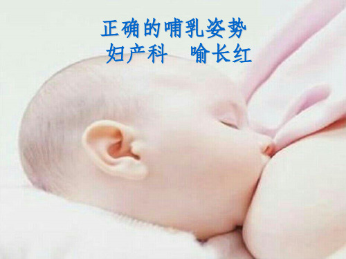 正确的哺乳姿势ppt课件