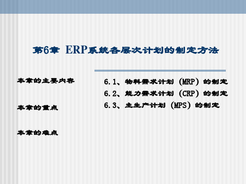 ERP原理与应用第6章.ppt