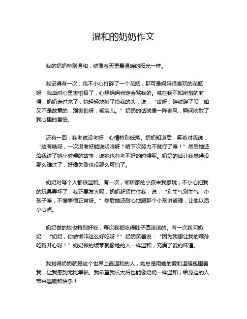 理想应正视实际作文