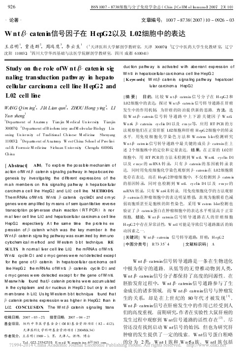 Wnt_catenin信号因子在HepG2以及L02细胞中的表达_王启明