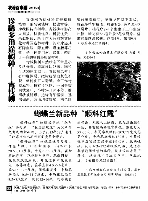 珍稀多用途树种——青钱柳