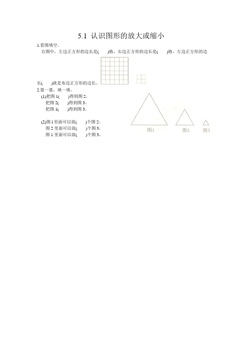 西师版六年级数学上册第五单元《图形变化和确定位置》全部课时练附答案(共11课时)