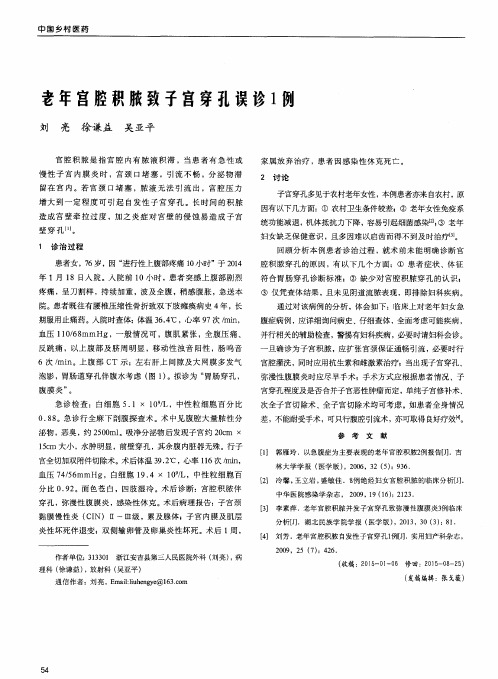 老年宫腔积脓致子宫穿孔误诊1例
