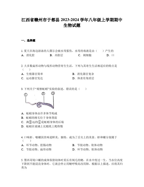 江西省赣州市于都县2023-2024学年八年级上学期期中生物试题