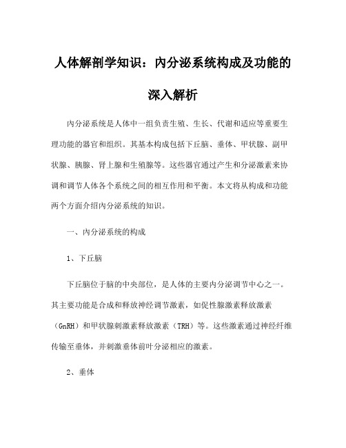 人体解剖学知识：内分泌系统构成及功能的深入解析