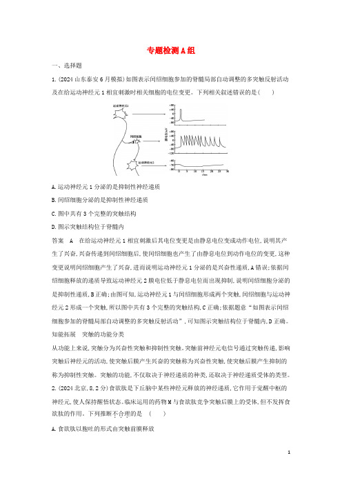 山东专用2024年高考生物一轮复习专题16神经调节专题检测含解析