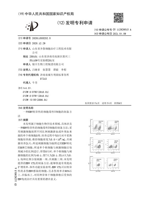 一种EBV特异性的细胞毒性T细胞的制备方法[发明专利]