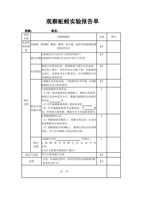 观察蚯蚓实验报告单