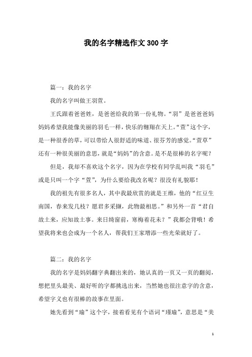 我的名字精选作文300字