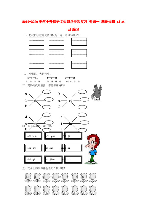 2019-2020学年小升初语文知识点专项复习 专题一 基础知识 ai ei ui练习