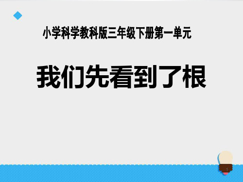 小学三年级下册科学《我们先看到了根》植物的生长变化PPT优秀课件