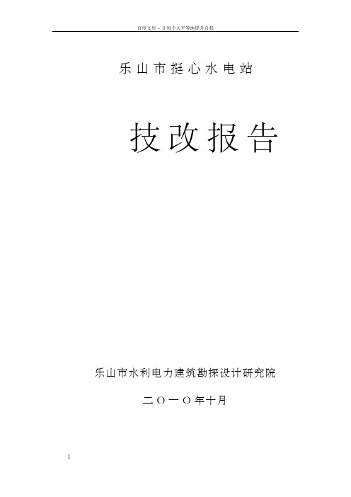 XX水电站技改报告