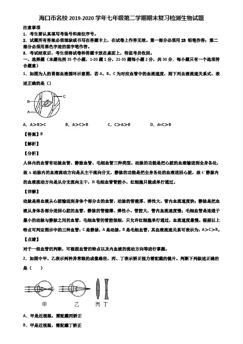 海口市名校2019-2020学年七年级第二学期期末复习检测生物试题含解析