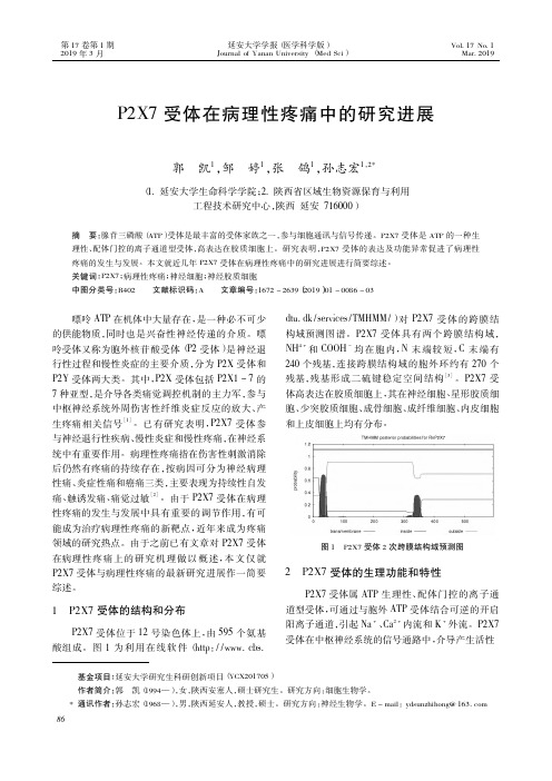 P2X7受体在病理性疼痛中的研究进展