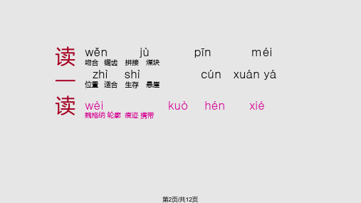 语文S小学四年级语文上册地图上发现