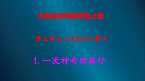 大象版科学四年级上册第五单元人体的消化器官全单元全套精品 课件