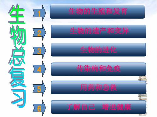 人教版八年级生物下册总复习习题PPT课件