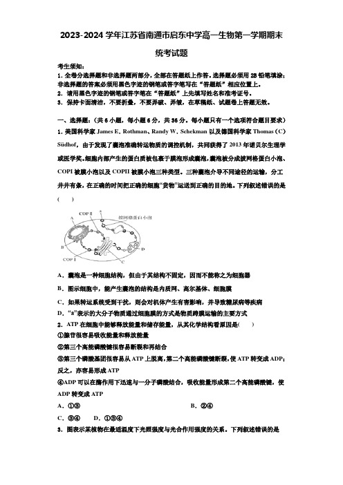 2023-2024学年江苏省南通巿启东中学高一生物第一学期期末统考试题含解析