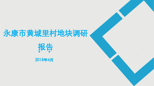 某市黄城里村地块调研报告PPT(37张)