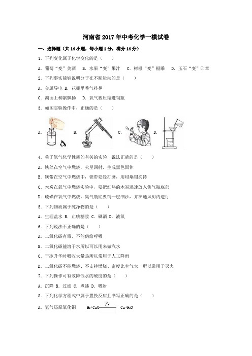 河南省2017年中考一模化学试卷(含解析)