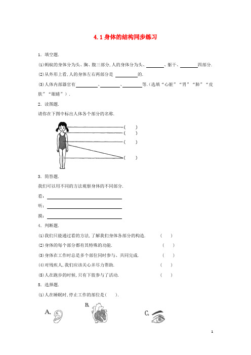 四年级科学上册4.1身体的结构练习教科版