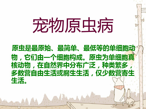 犬猫原虫病1