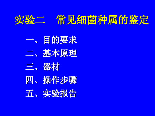 02 实验二 常见细菌种属的鉴定