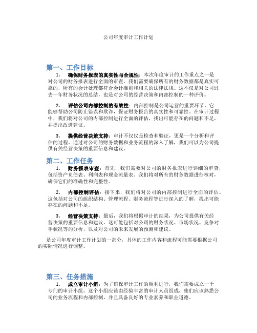 公司年度审计工作计划