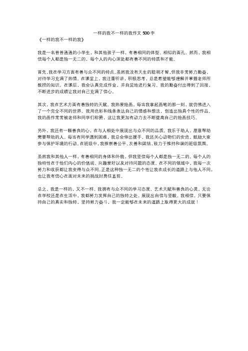 一样的我不一样的我作文500字