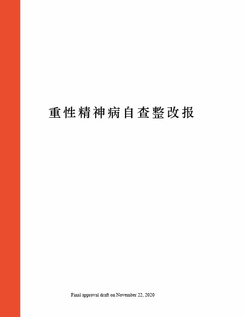 重性精神病自查整改报