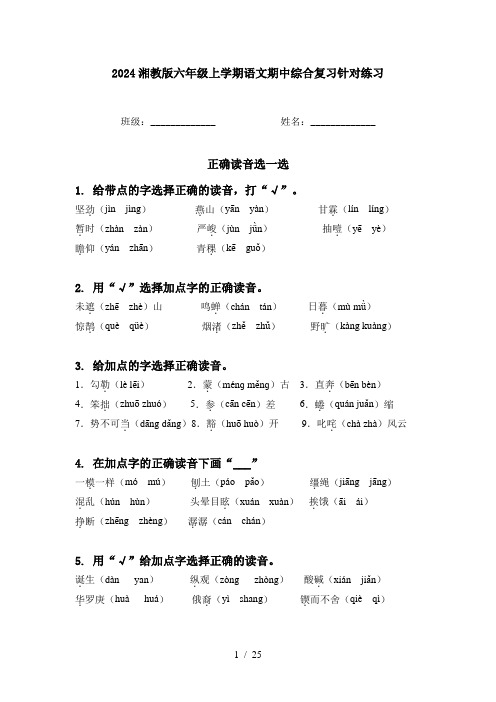 2024湘教版六年级上学期语文期中综合复习针对练习