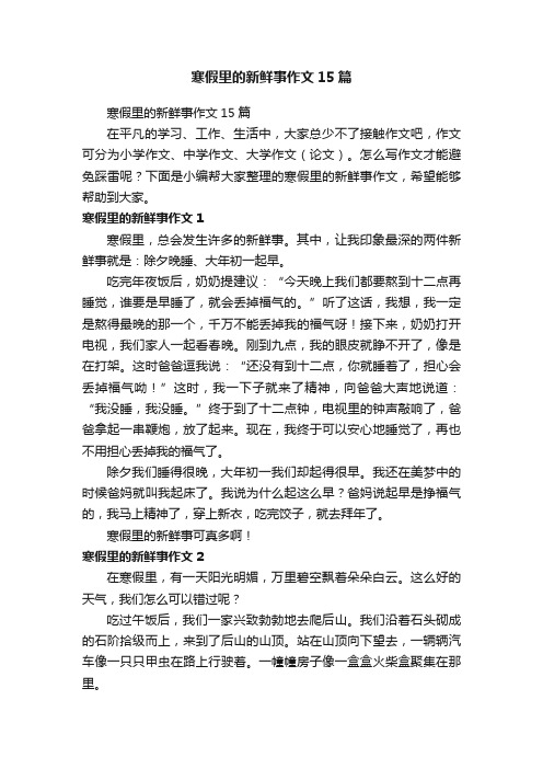 寒假里的新鲜事作文15篇