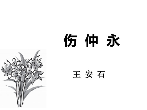 初中语文——伤仲永-市公开课获奖课件省名师示范课获奖课件