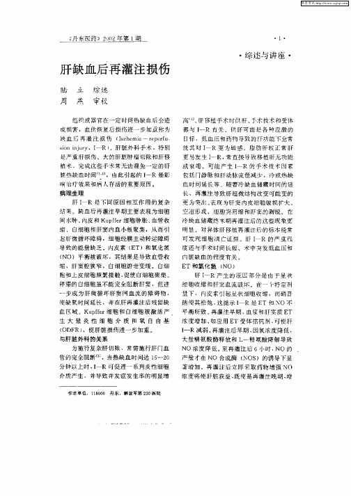 肝缺血后再灌注损伤