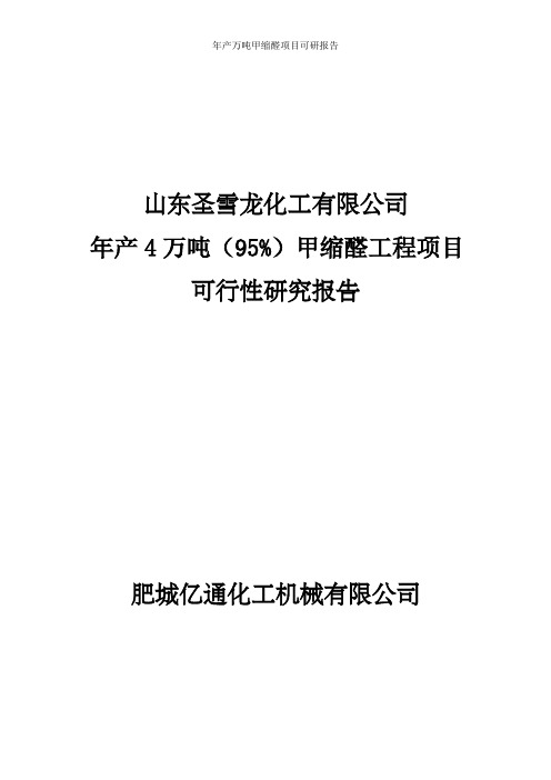 年产万吨甲缩醛项目可研报告
