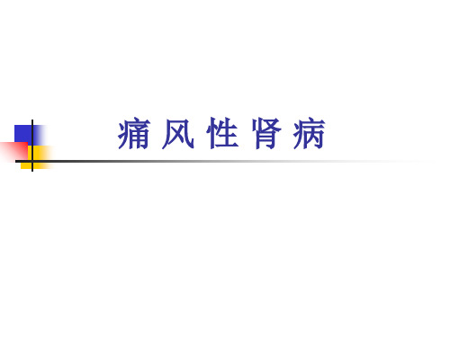 痛风性肾病护理查房