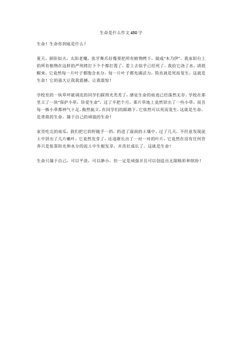 生命是什么作文450字-2