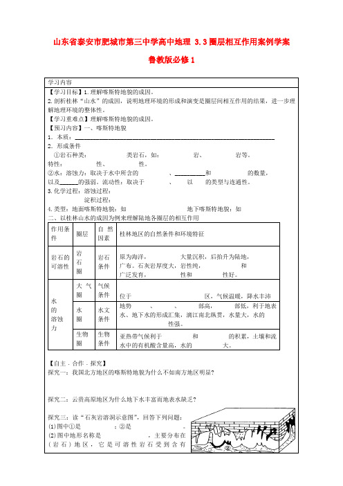 山东省泰安市肥城市第三中学高中地理 3.3圈层相互作用案例学案 鲁教版必修1