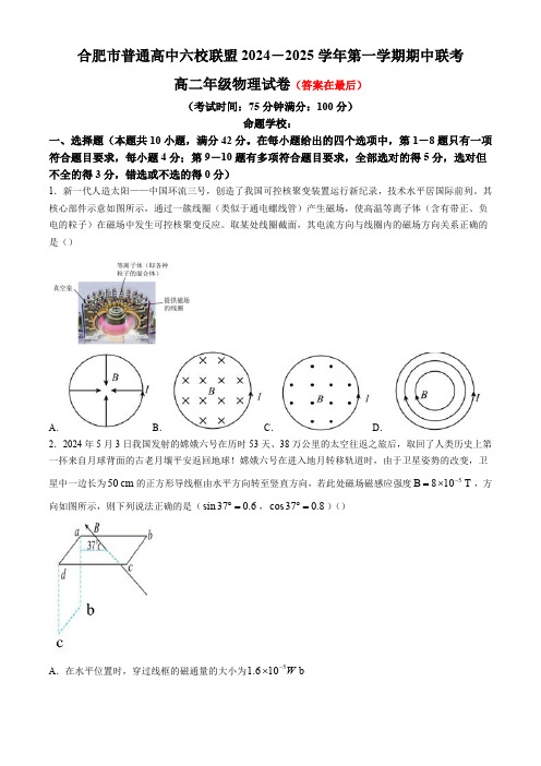 安徽省合肥市六校联盟2024-2025学年高二上学期11月期中考试 物理含答案