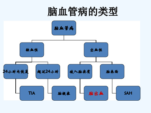 脑出血的急救与护理ppt课件