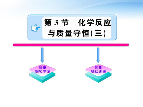 八年级科学下册 2.3.3《化学反应与质量守恒》课件 浙教版