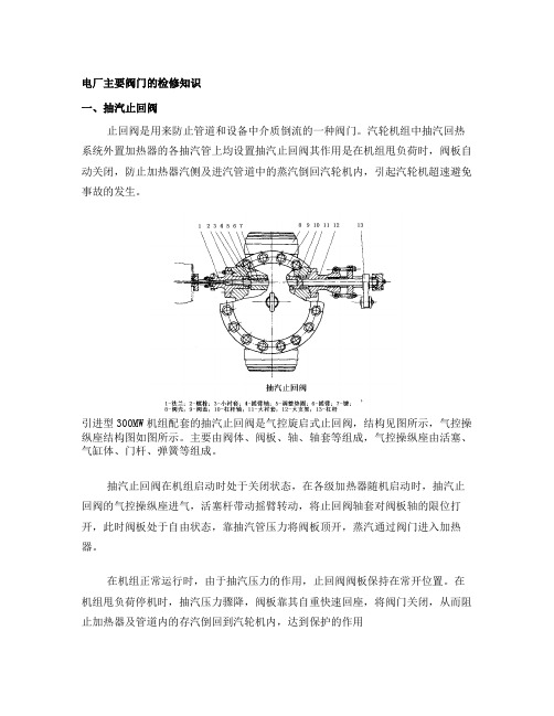 电厂主要阀门的检修知识