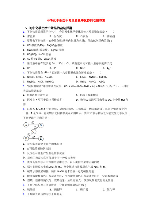 中考化学生活中常见的盐培优特训卷附答案