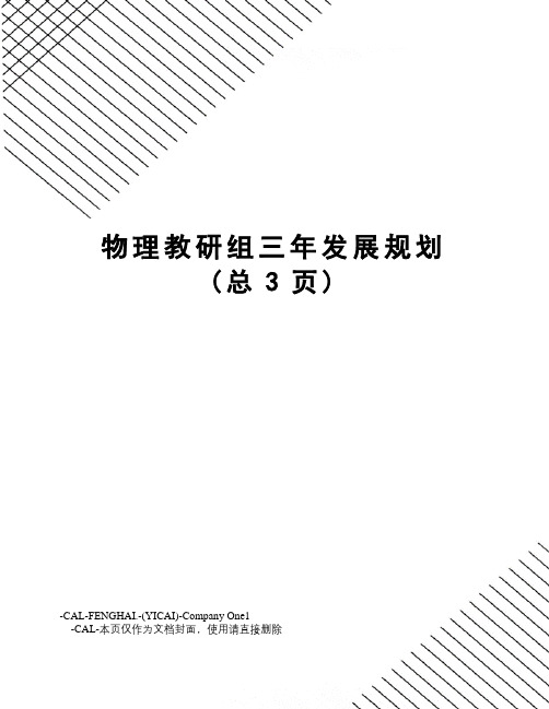 物理教研组三年发展规划