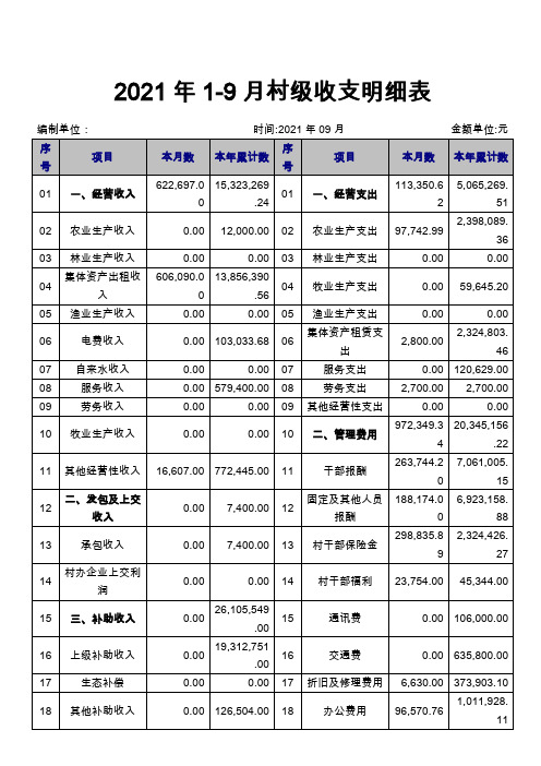 村级收支明细表