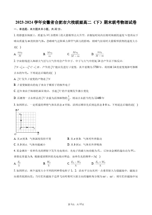 2023-2024学年安徽省合肥市六校联盟高二(下)期末联考物理试卷+答案解析