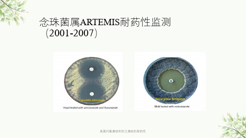 真菌对氟康唑和伏立康唑的耐药性ppt课件