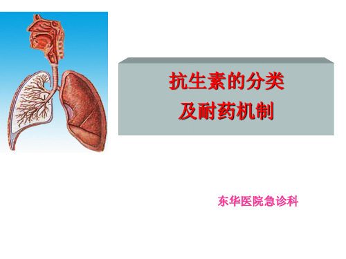 抗生素分类及耐药机制PPT课件