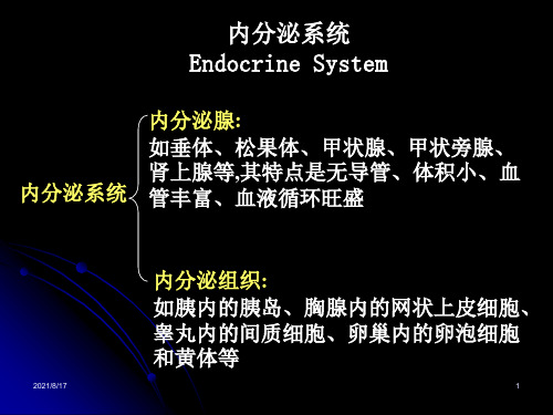 系统解剖学——内分泌