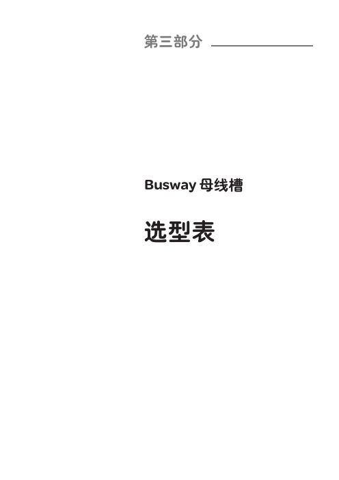 施耐德低压电器选型手册-Busway母线槽选型表